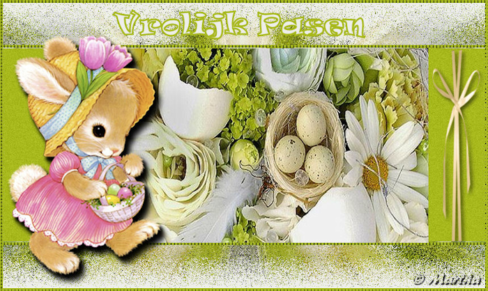 2473178-f757af4b6135e823f57f412ce09ed03c.png