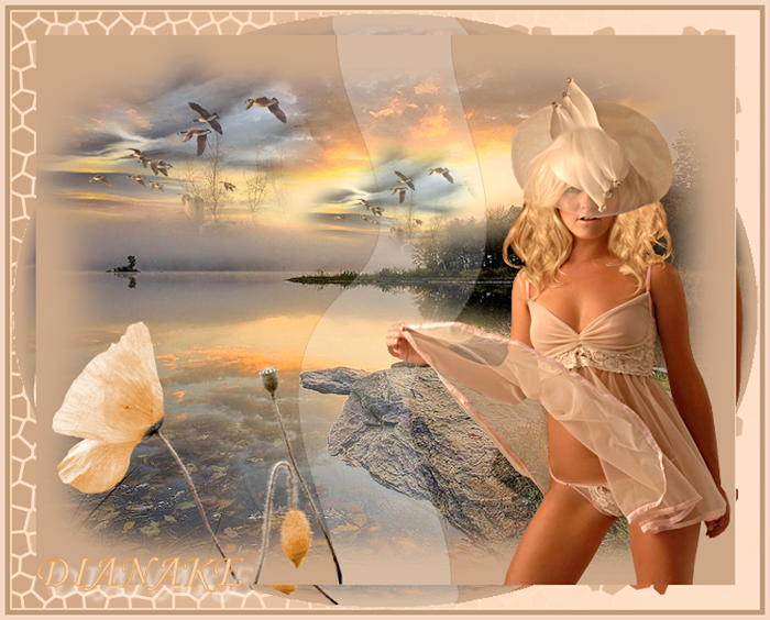 2486440-a079fe2e931b85ce62d7807d22826fa8.png