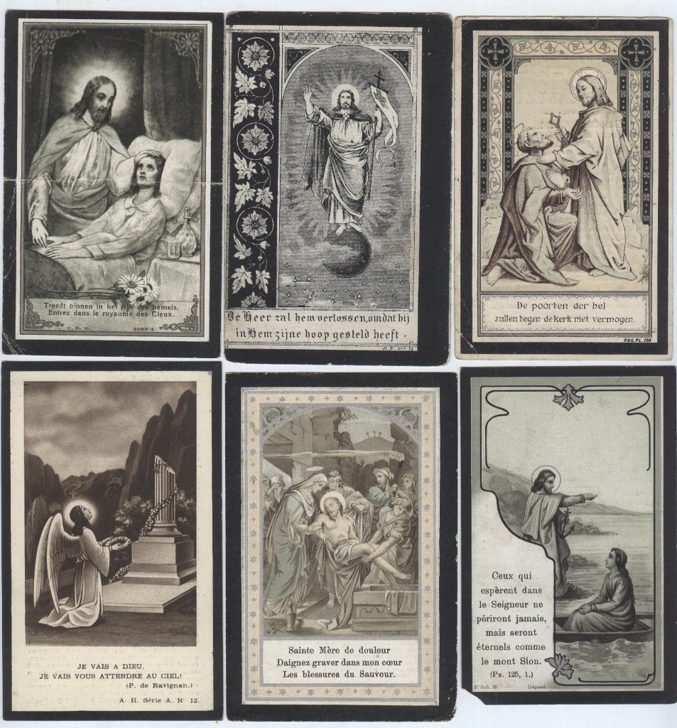 Louisa Ghijs JungleKey.nl Afbeelding