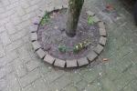 Klik op de afbeelding om de link te volgen