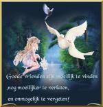 Klik op de afbeelding om de link te volgen