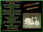 Klik op de afbeelding om de link te volgen