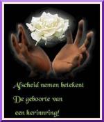 Klik op de afbeelding om de link te volgen