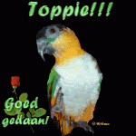 Klik op de afbeelding om de link te volgen