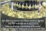 Klik op de afbeelding om de link te volgen