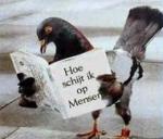 Klik op de afbeelding om de link te volgen