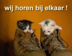 Klik op de afbeelding om de link te volgen