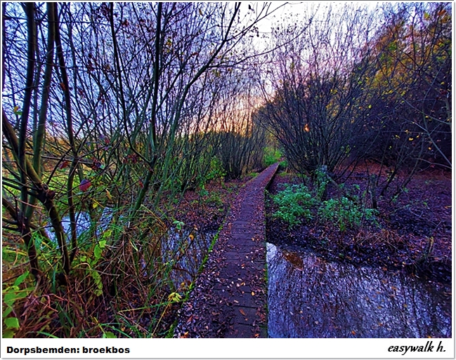 2680922-85b6f89b41cae26786ac72365fff77</div></body></html>