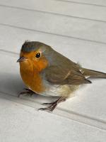 Klik op de afbeelding om de link te volgen