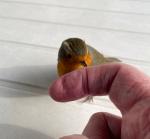 Klik op de afbeelding om de link te volgen