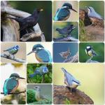 Klik op de afbeelding om de link te volgen