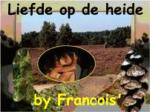 Klik op de afbeelding om de link te volgen