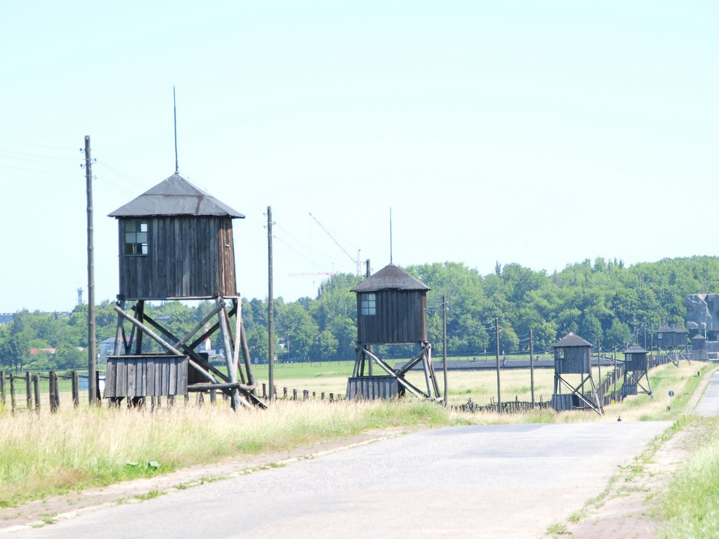 1196408-29f0332daebcb0e787c154b22ee885b8.JPG