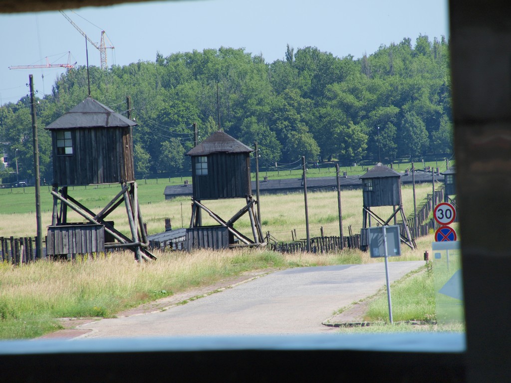 1196408-6ff45c1c44a6ba958f5d54dd34fb498e.JPG