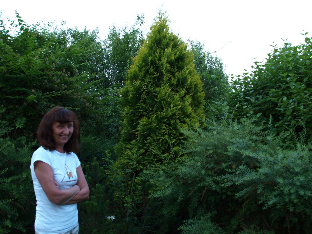 1199323-831aa9e69249b41aaed36cf5eb19f9bc.JPG