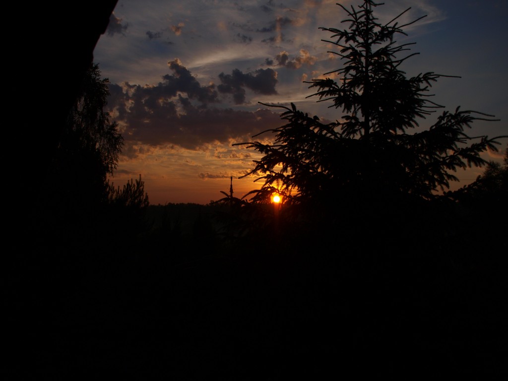 1199323-90d6a1e04d5d72f37b0905abf7712d21.JPG