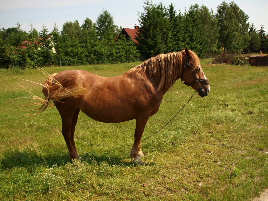 1199863-d505958d98dbeb90c7a375b24afe457d.JPG