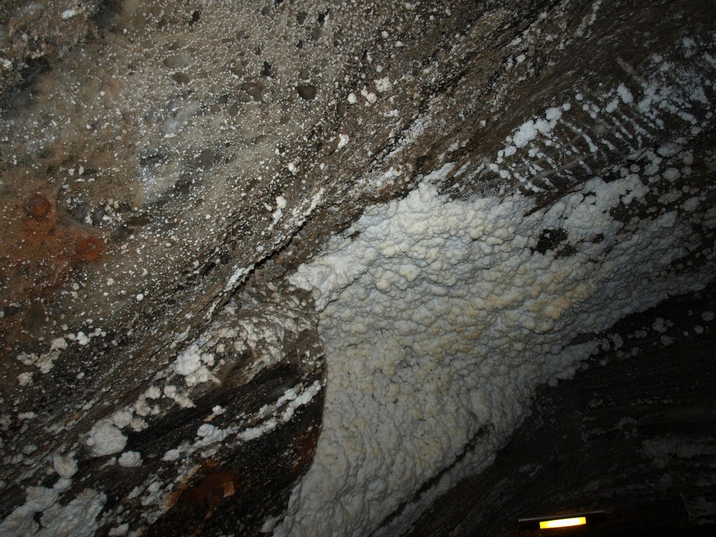 1200115-d42b8cf428b069aa1d06d9a5a9fb9268.JPG