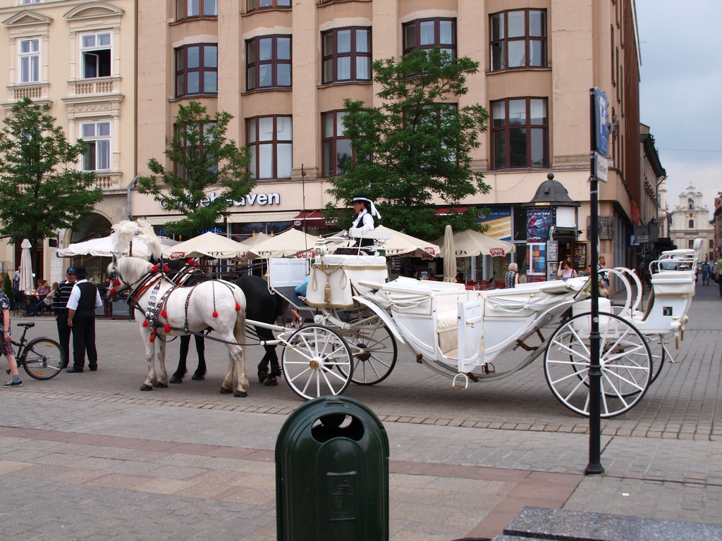1200782-b4b12c09d9ceb1b62d57545b9b41df15.JPG