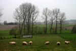 Klik op de afbeelding om de link te volgen