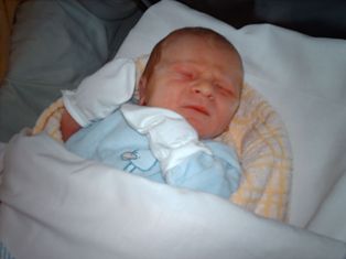 205095-8aecb97bcb110992c334deddb9818f0d.JPG