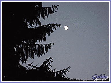 101530.gif