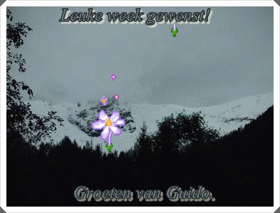 78340.gif