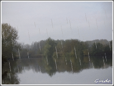 99753.gif