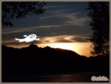 99801.gif