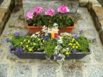 Klik op de afbeelding om de link te volgen