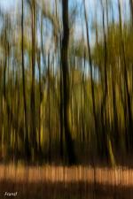 Klik op de afbeelding om de link te volgen