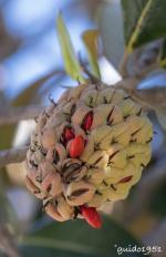 Klik op de afbeelding om de link te volgen