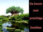 Klik op de afbeelding om de link te volgen