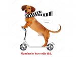 Klik op de afbeelding om de link te volgen