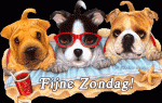 Klik op de afbeelding om de link te volgen
