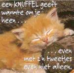 Klik op de afbeelding om de link te volgen