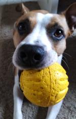 Klik op de afbeelding om de link te volgen