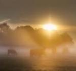 Klik op de afbeelding om de link te volgen