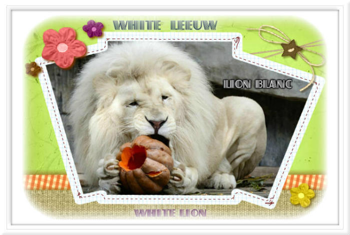 blogs louisette , scrap, lions, leeuwen, white ,blanc, witte