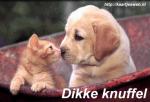 Klik op de afbeelding om de link te volgen
