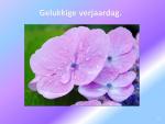 Klik op de afbeelding om de link te volgen