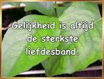 Klik op de afbeelding om de link te volgen