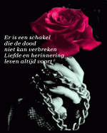Klik op de afbeelding om de link te volgen