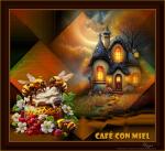 Klik op de afbeelding om de link te volgen