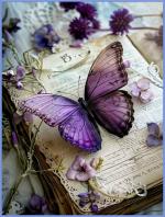 Klik op de afbeelding om de link te volgen