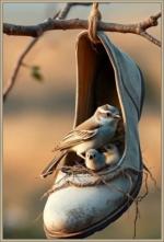 Klik op de afbeelding om de link te volgen