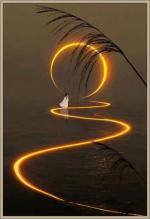 Klik op de afbeelding om de link te volgen