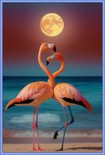 Klik op de afbeelding om de link te volgen