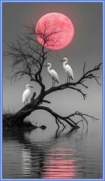 Klik op de afbeelding om de link te volgen