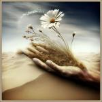 Klik op de afbeelding om de link te volgen